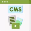 CMS Customization